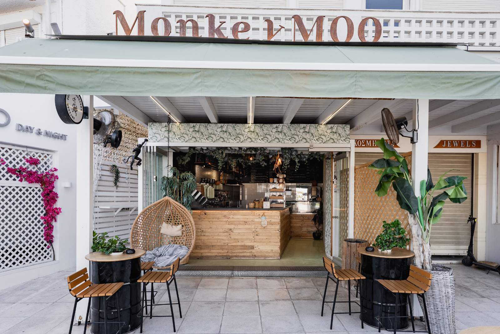 Monkey Moο